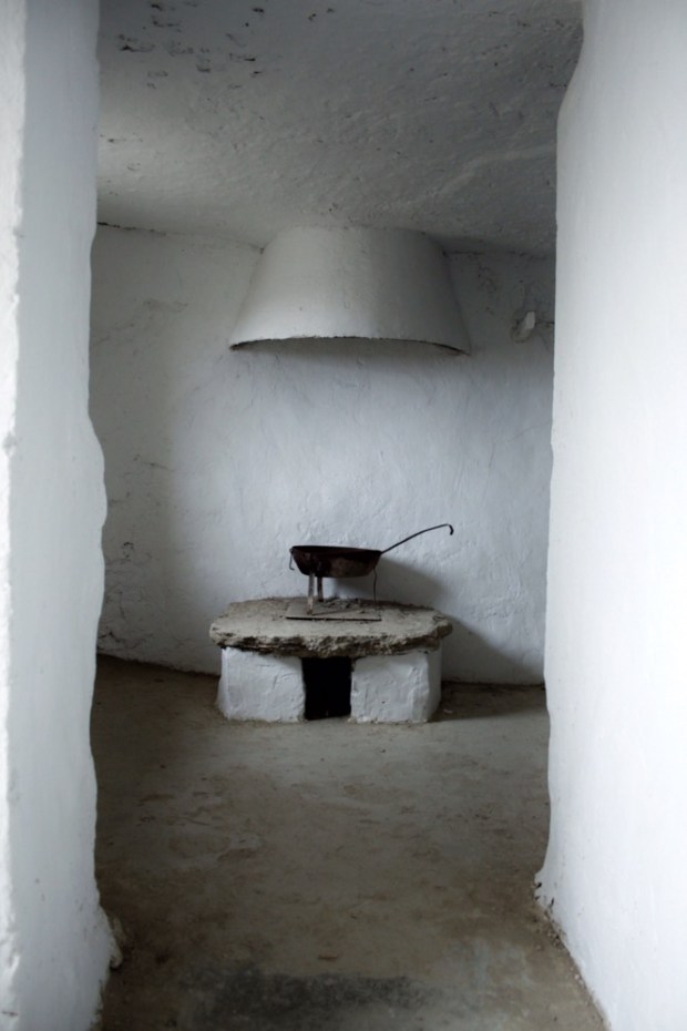 Processed with Snapseed.