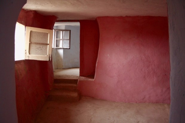 Processed with Snapseed.