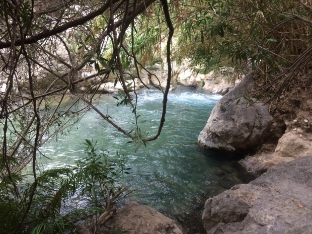 foto-18-10-16-17-07-10